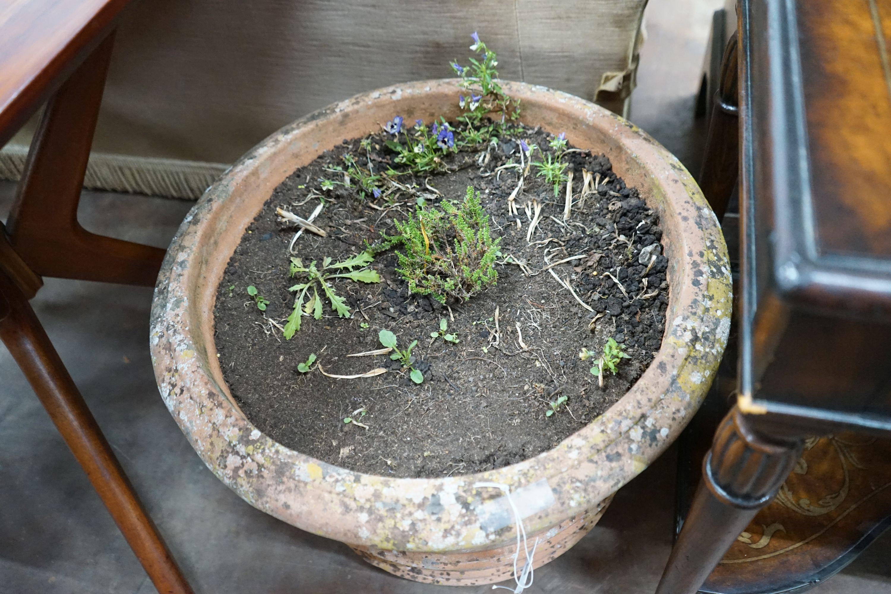 A circular terracotta garden planter, diameter 56cm, height 44cm